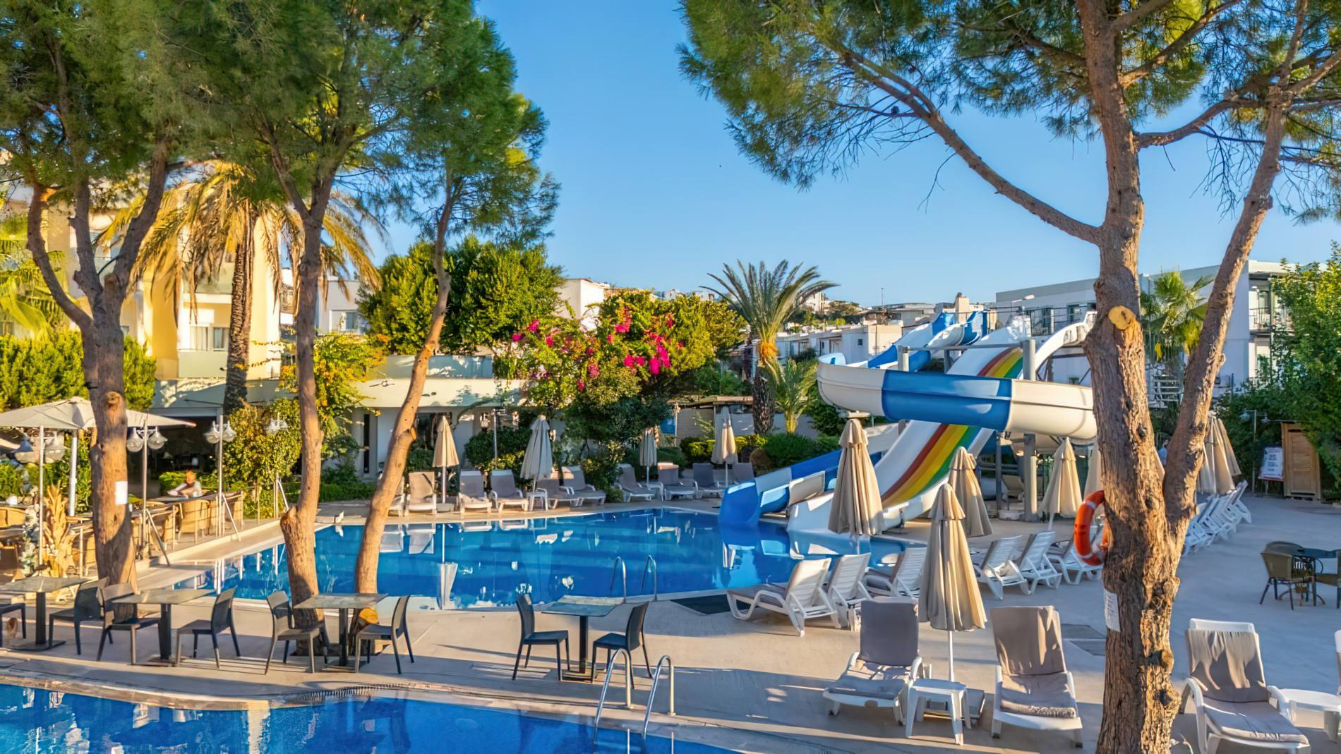 3aa468e82aef5328dccf