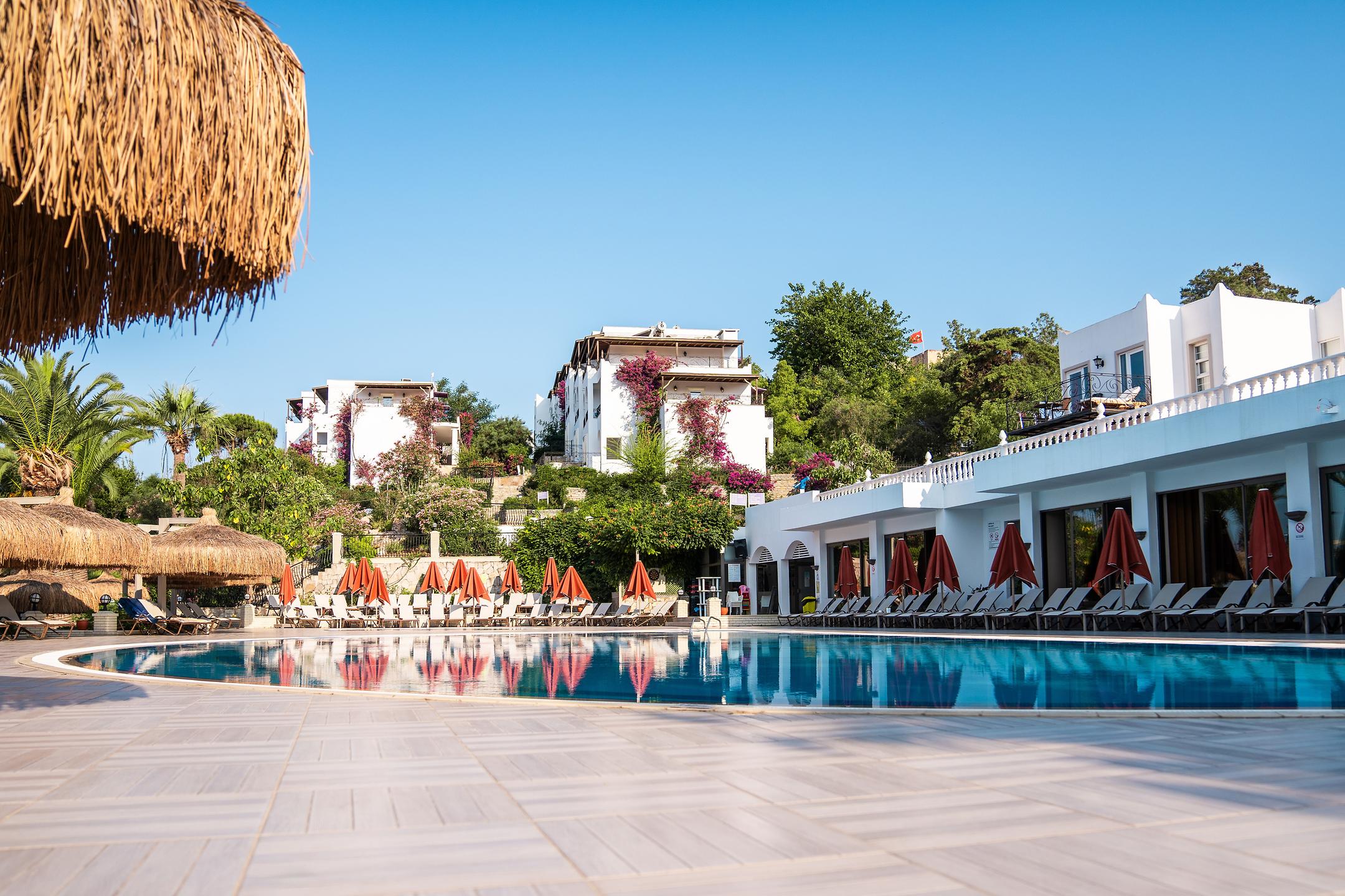 44a598f5e86b99d2ba85