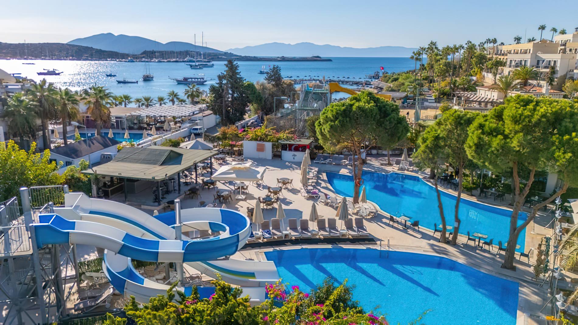 46d8ae663422e7b9e8e8