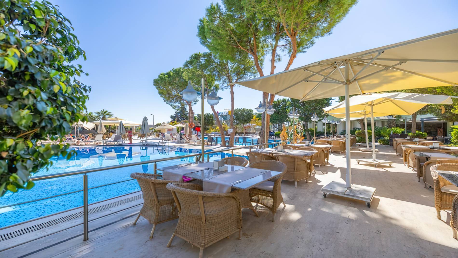 e5bfb198eedee7af29ae