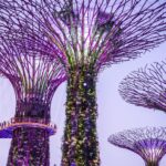 BIG enghock singapore 2096833 1920