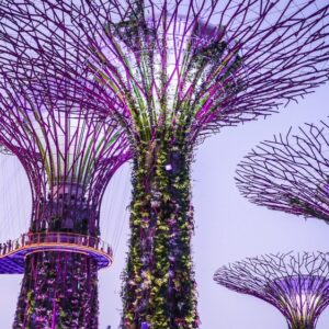 BIG enghock singapore 2096833 1920