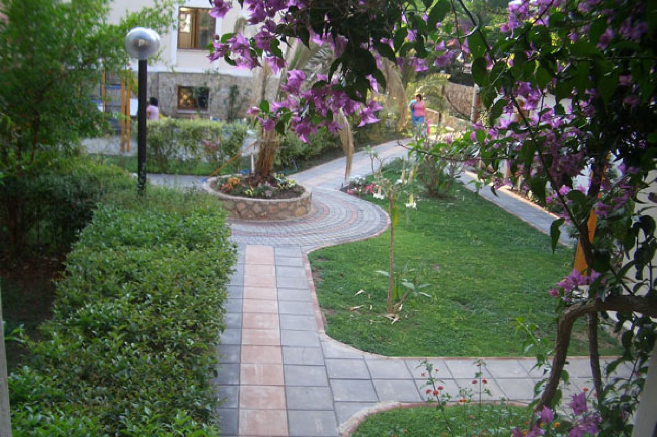 PERDIKIA 3*