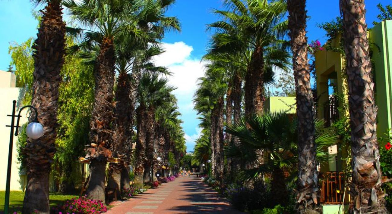 VON RESORT GOLDEN BEACH 5*