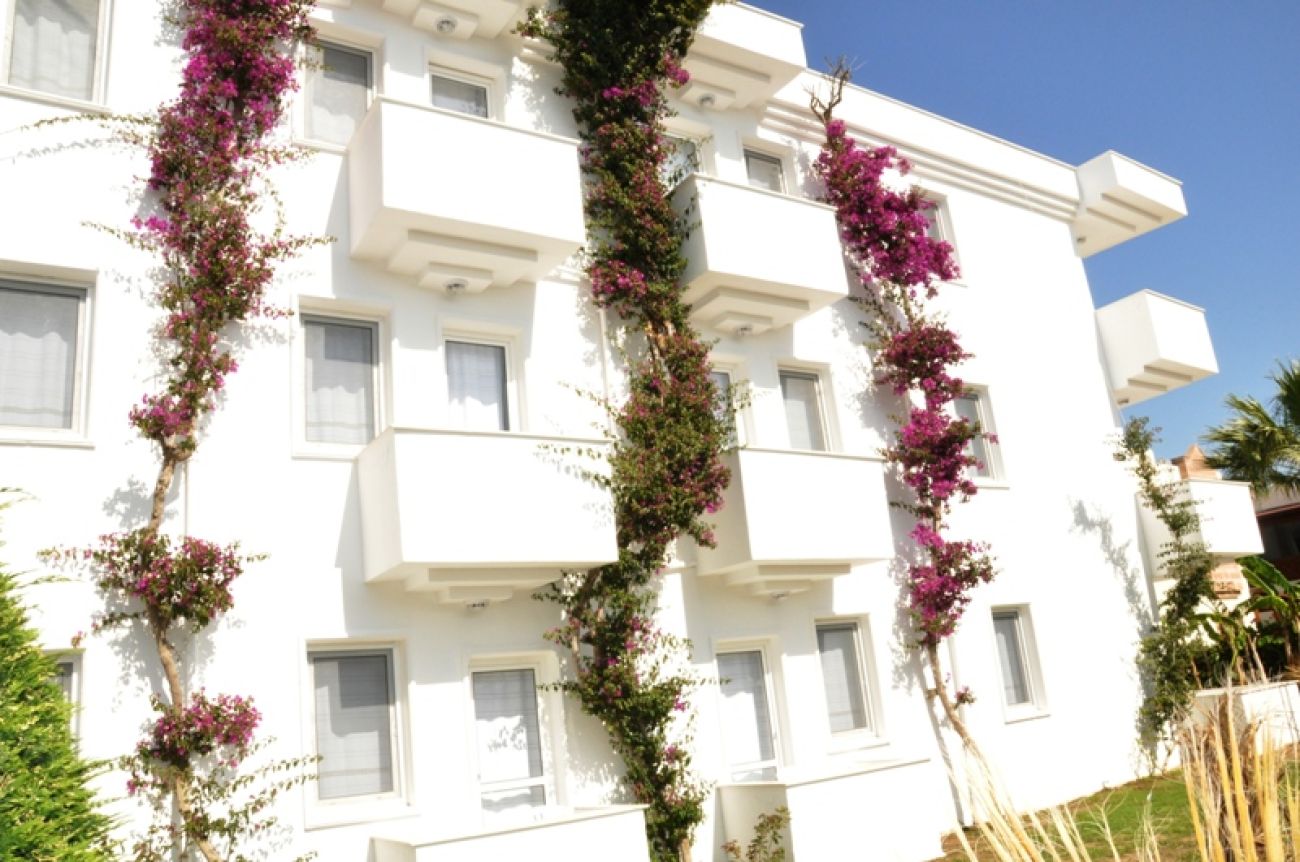 BENDIS BEACH 4*
