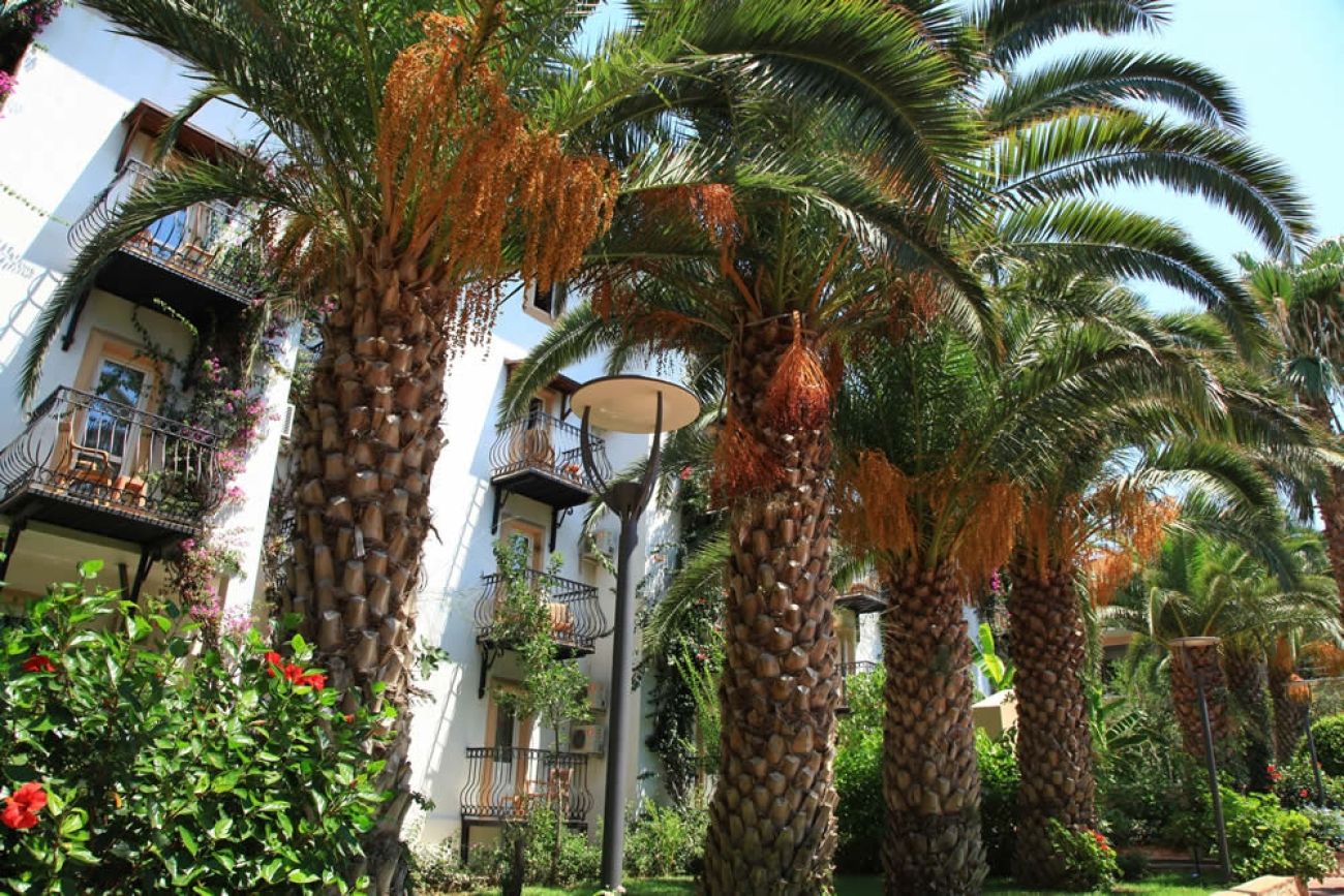TUI MAGIG LIFE /ex.ERSAN RESORT/ 5*