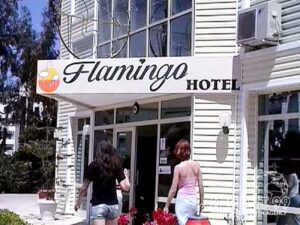 FLAMINGO 4*