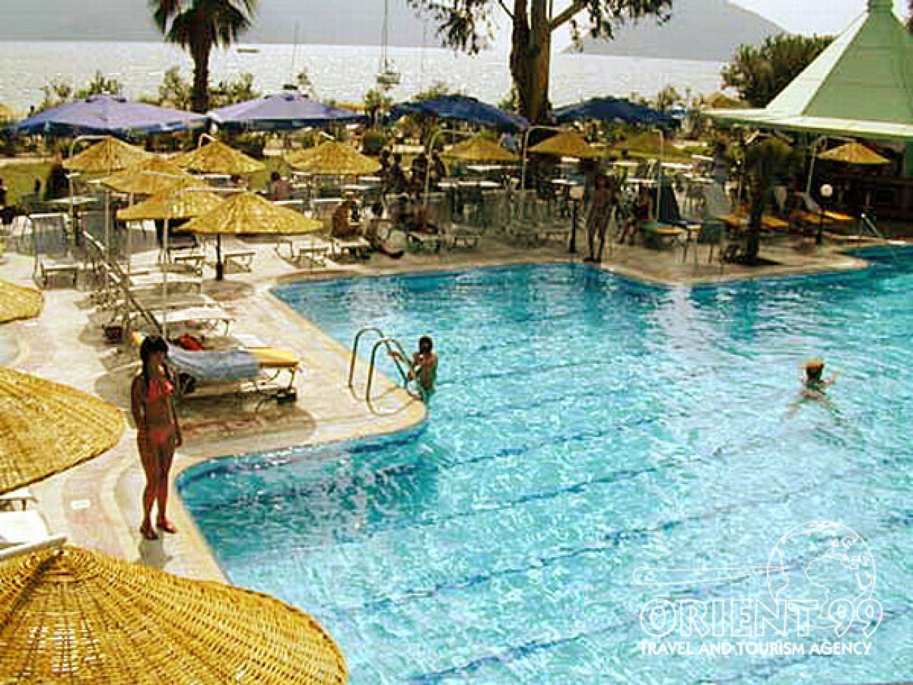 FLAMINGO 4*