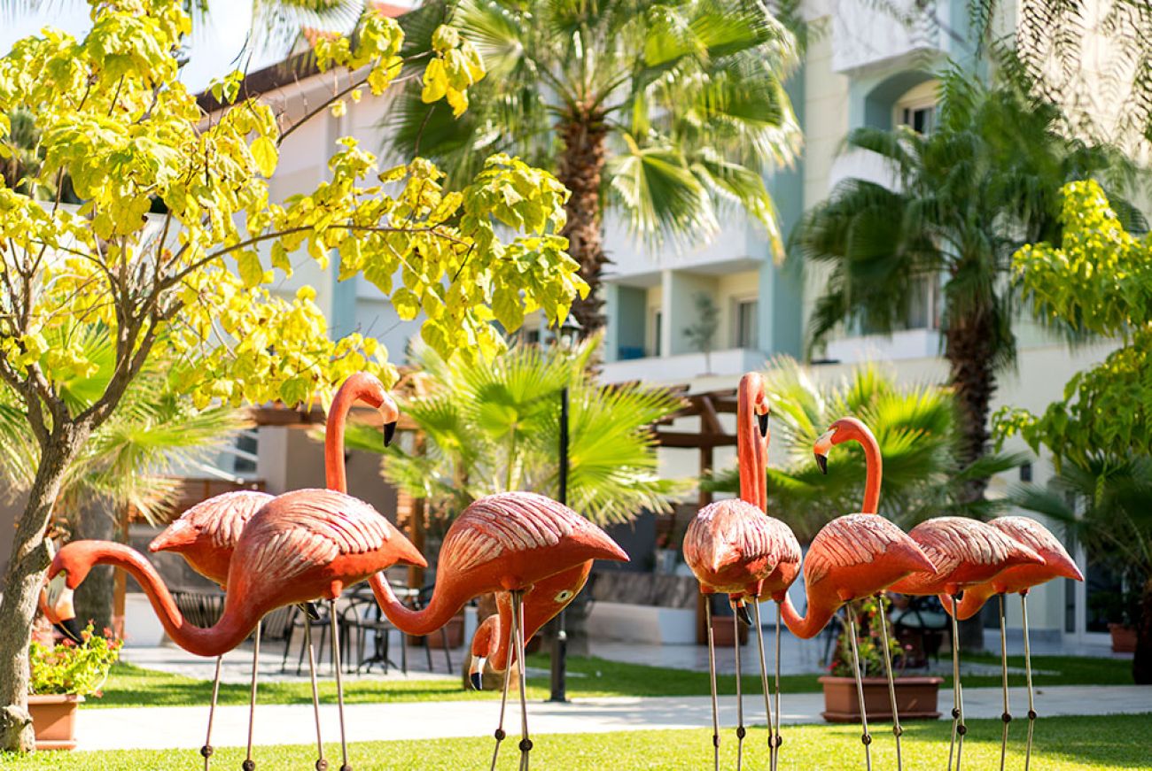 SURAL RESORT 5*