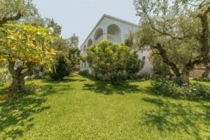 Ruassi Studios Zakynthos