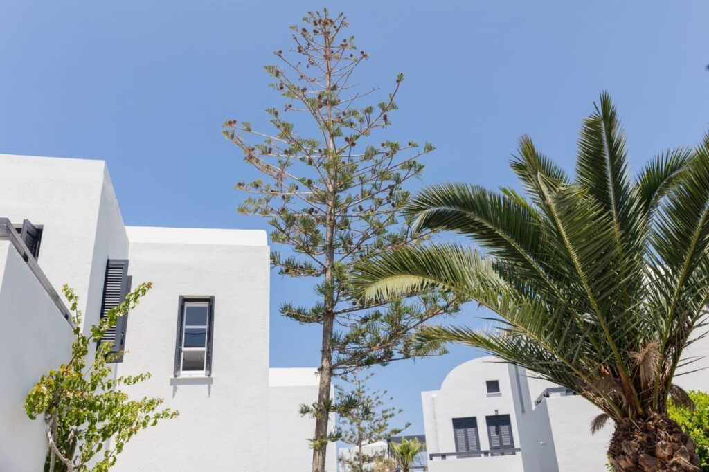 Scorpios Beach Hotel 4*