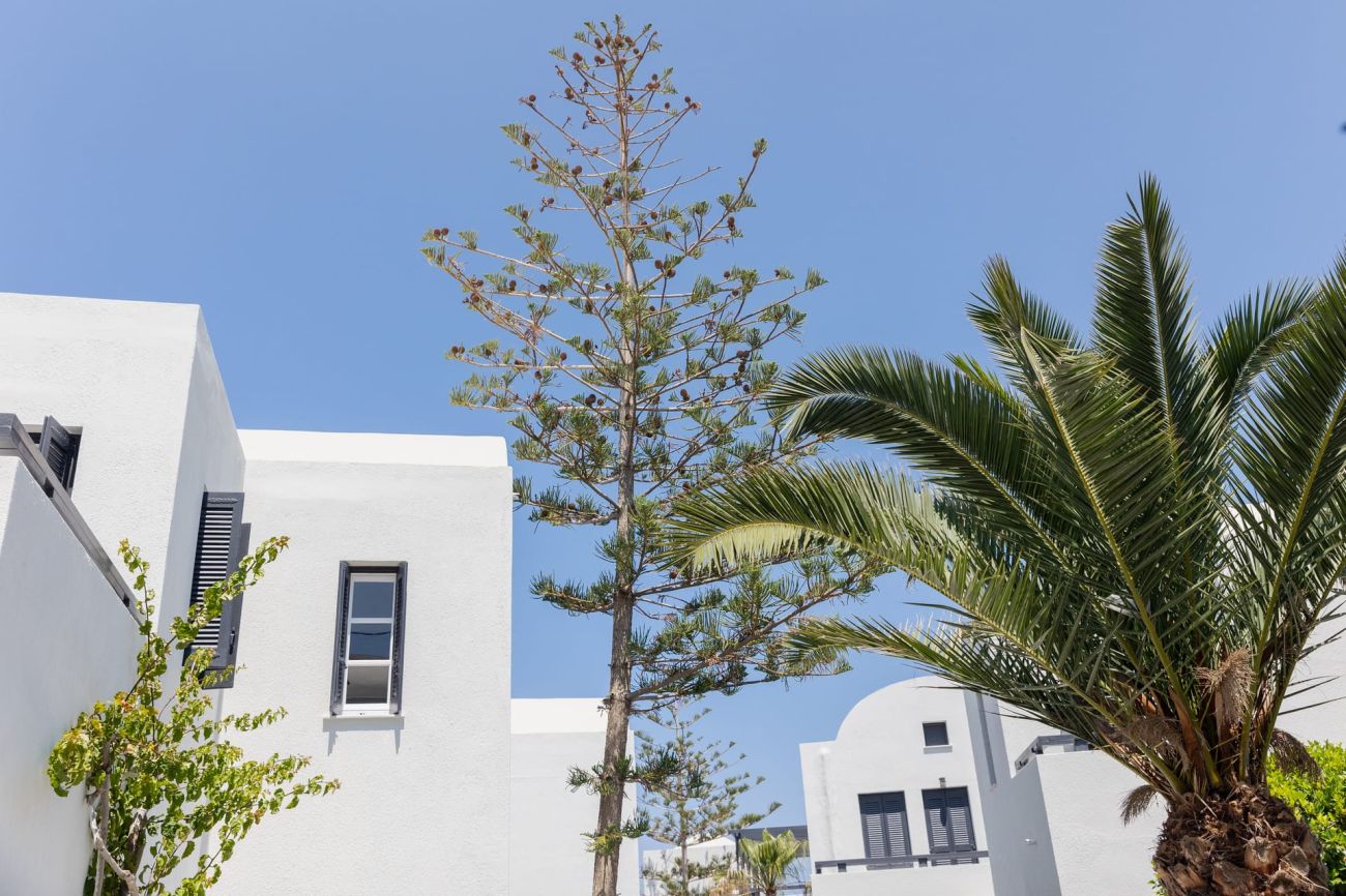 Scorpios Beach Hotel 4*