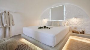 Petri Suites 2*