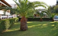 Regos Resort Hotel Halkidiki 3*