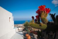 Splendour Resort Santorini 5*