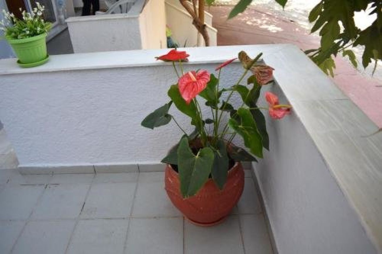 Galanis Studios And Apartments