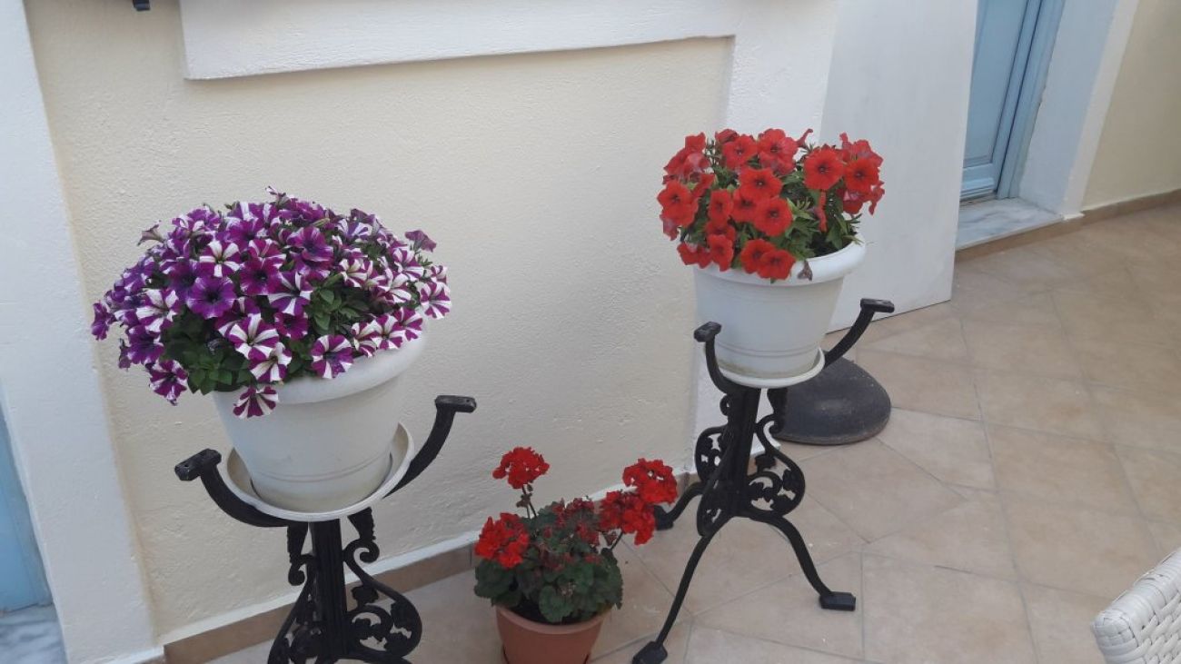 Villa Roussa 2*