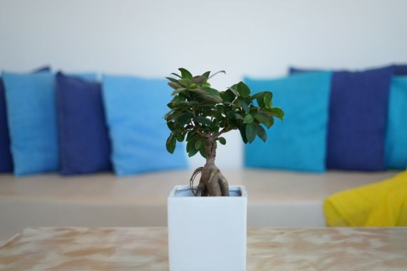 Athiri Santorini Family Friendly Hotel 3*