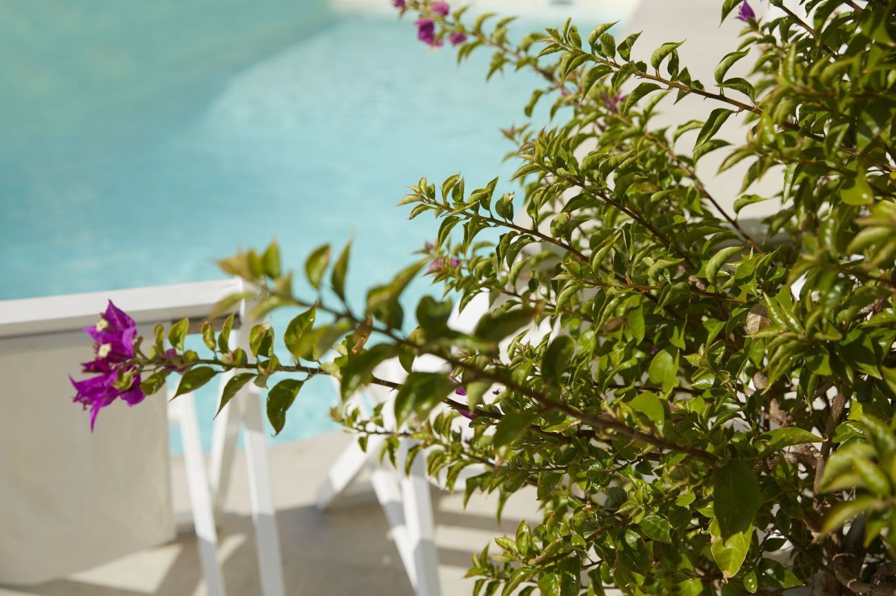 Mon Repos Palace 4*