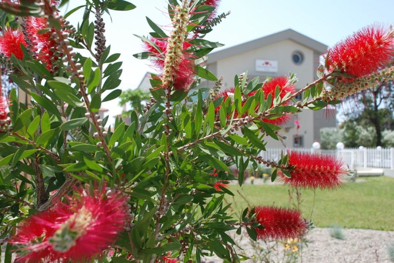Dream Boutique Apartments 3*
