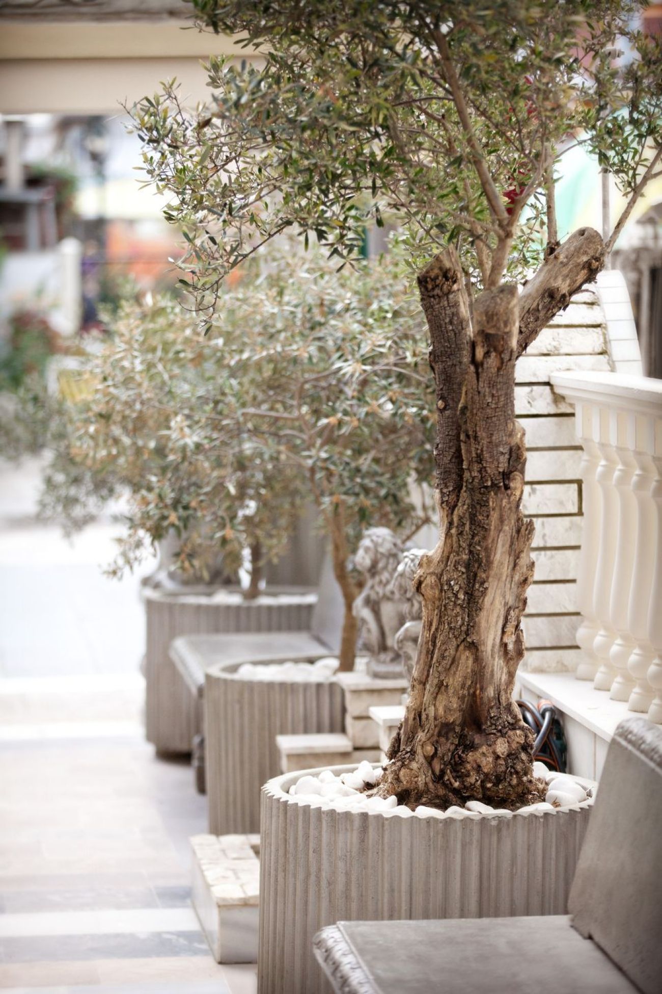 Parthenon Art Hotel 3*