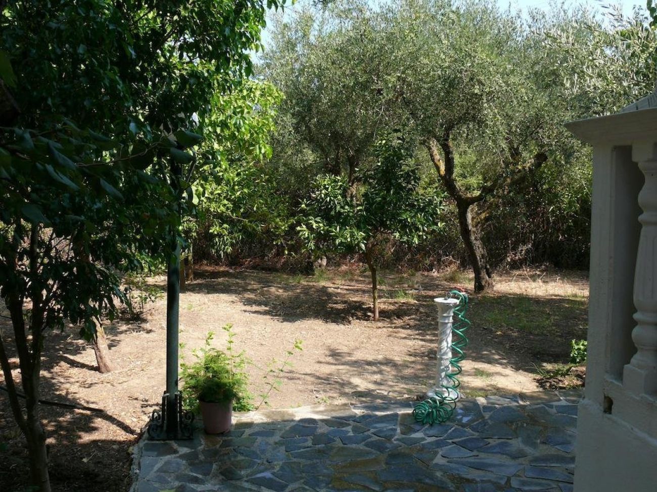 Areti Orfeas Studios