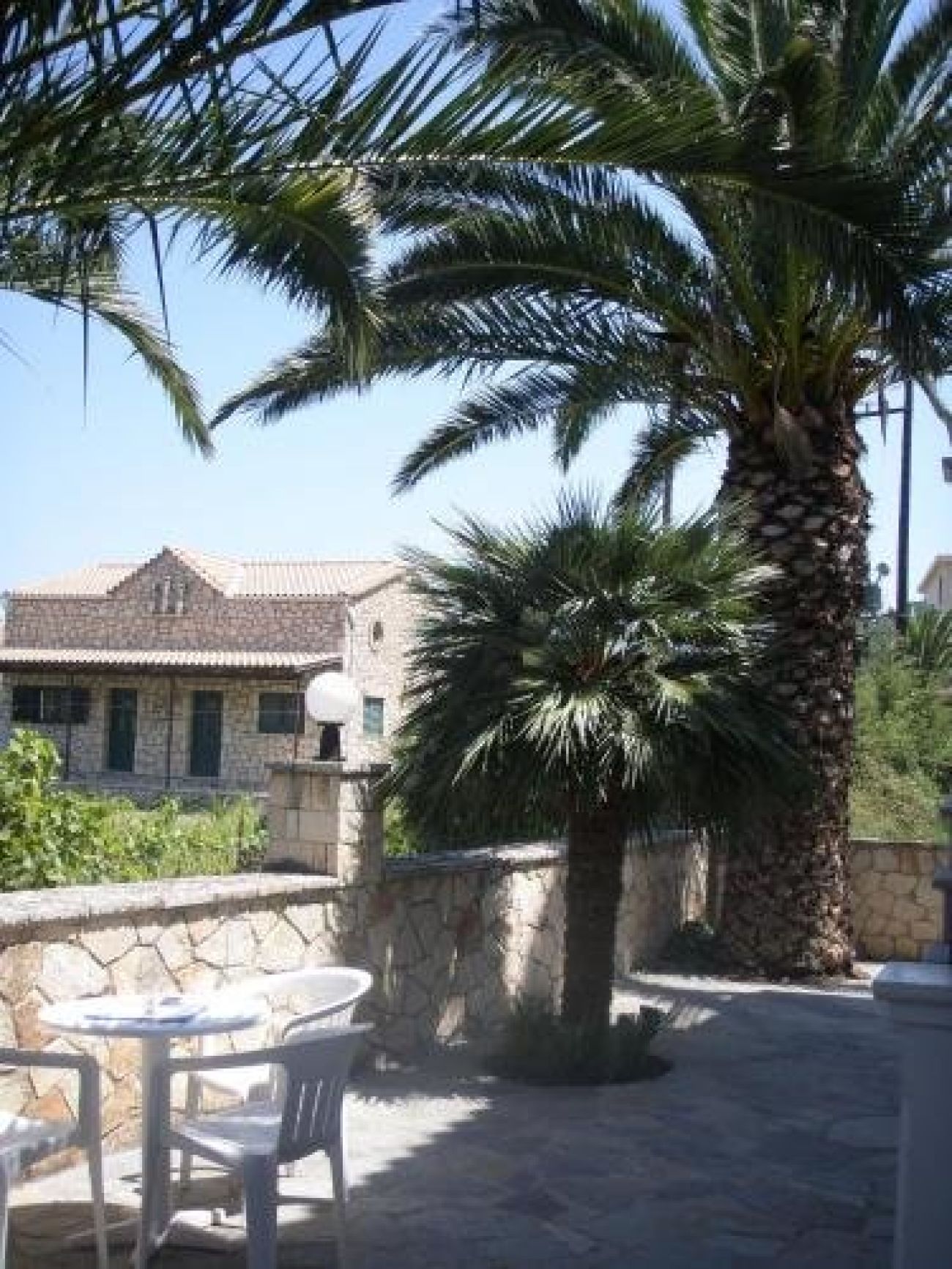 Antonio Studios