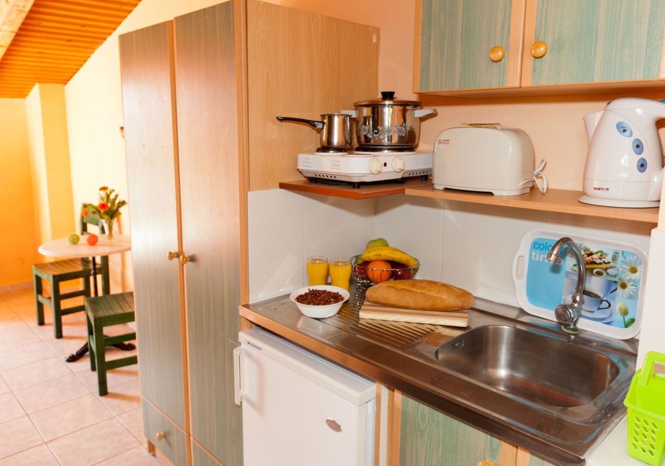 Elena's Studios Zakynthos 3*