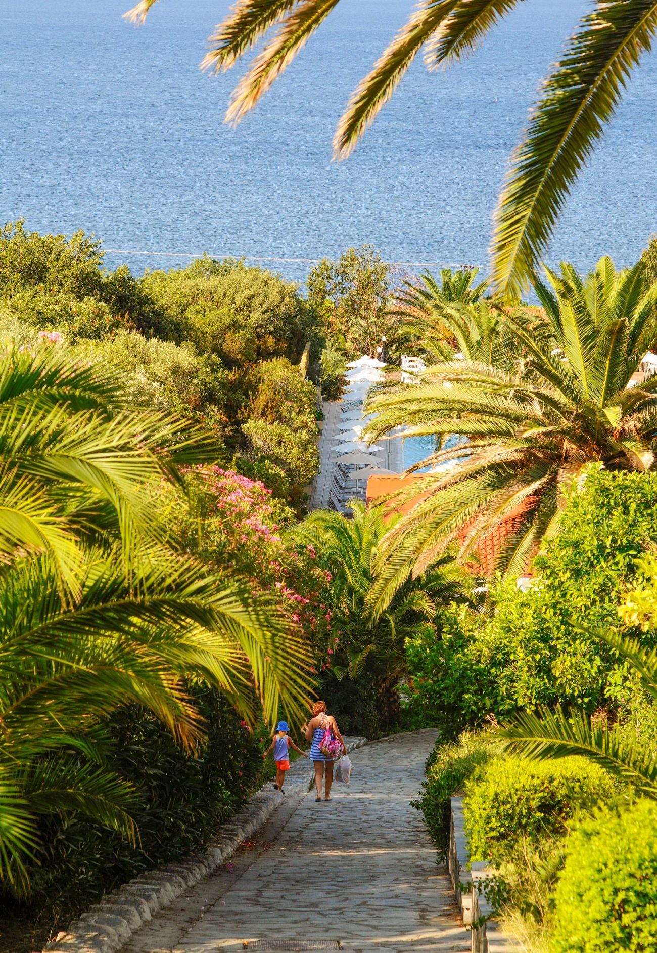 Aristoteles Holiday Resort & SPA 4*