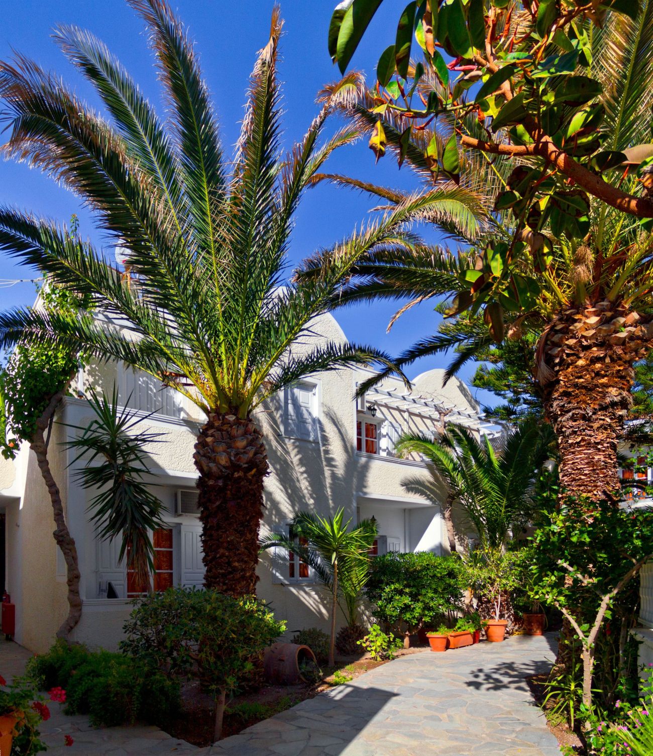 Dolphins Apartments Santorini 3*