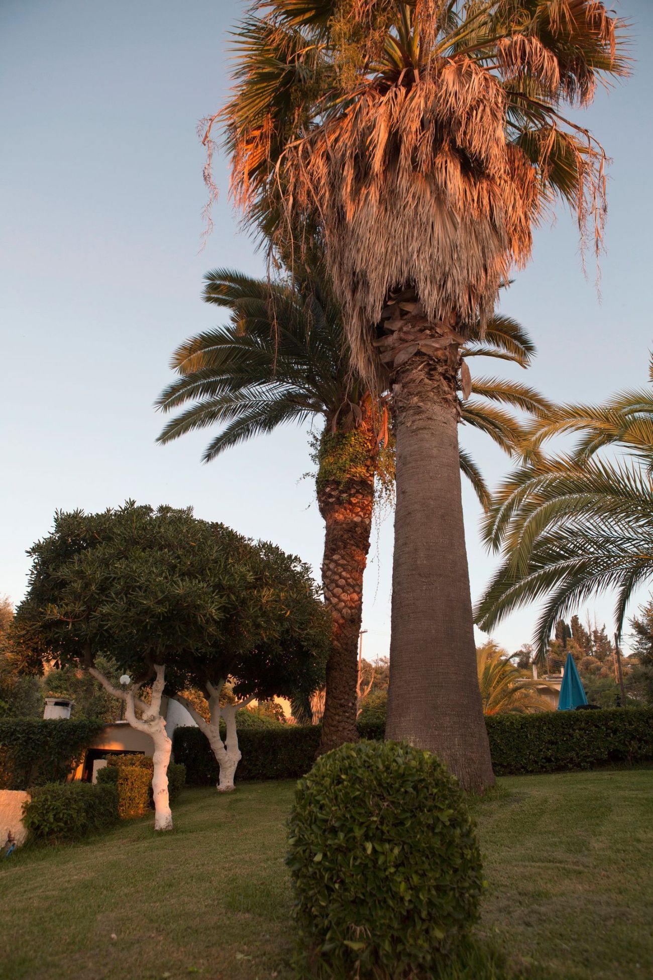 Anita Hotel Corfu 1*