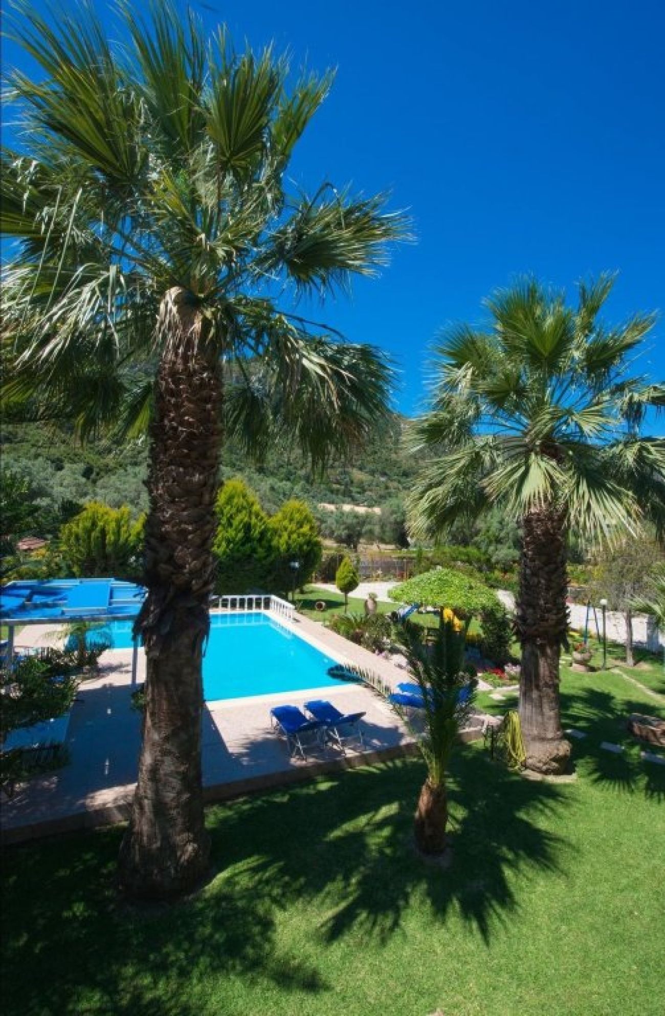 Villa Dimitris Apartments & Studios