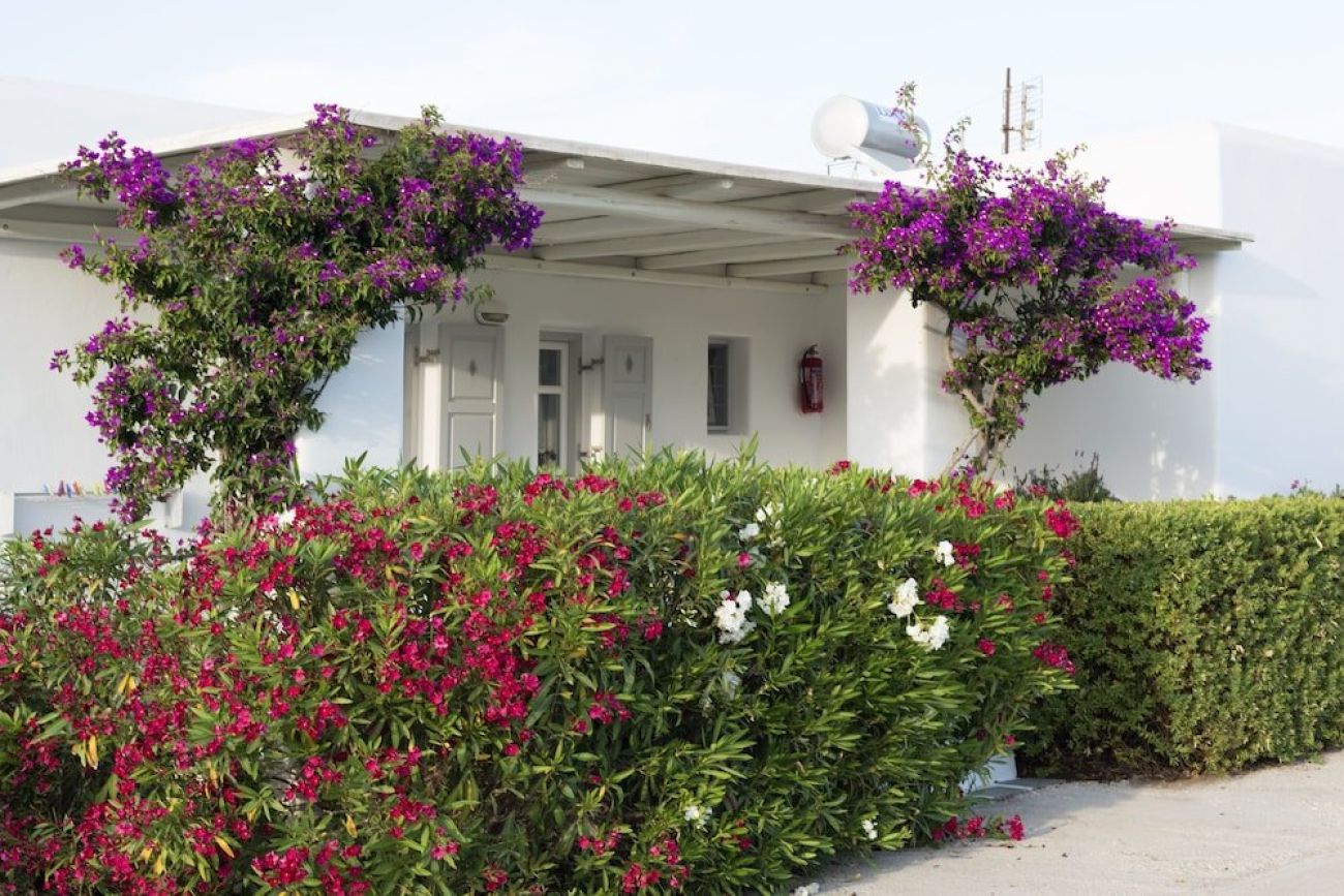 Golden Sand Naxos 3*