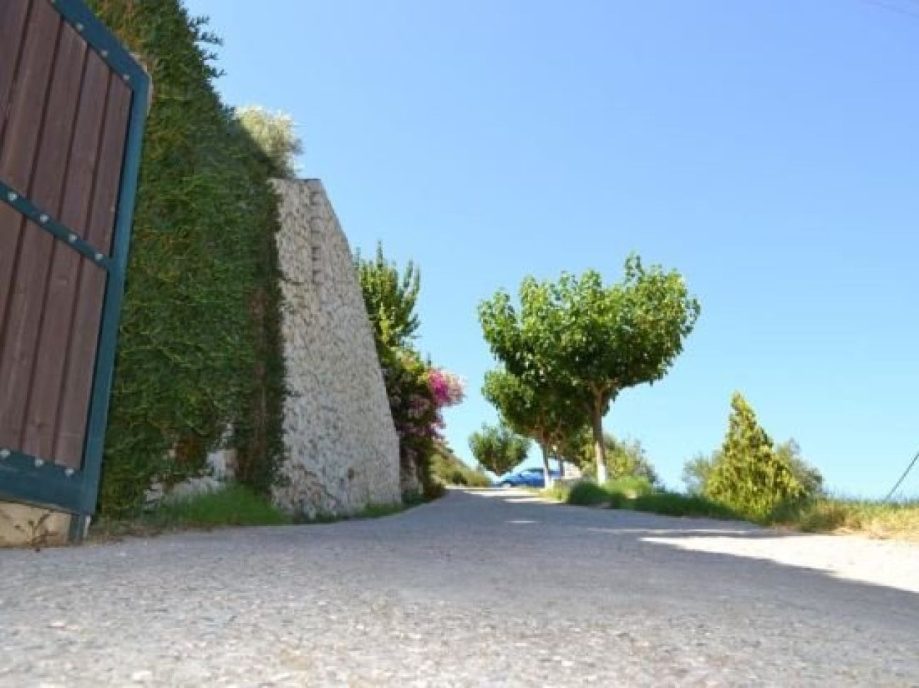 Althea Studios