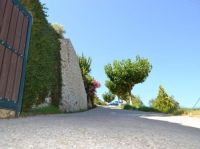 Althea Studios