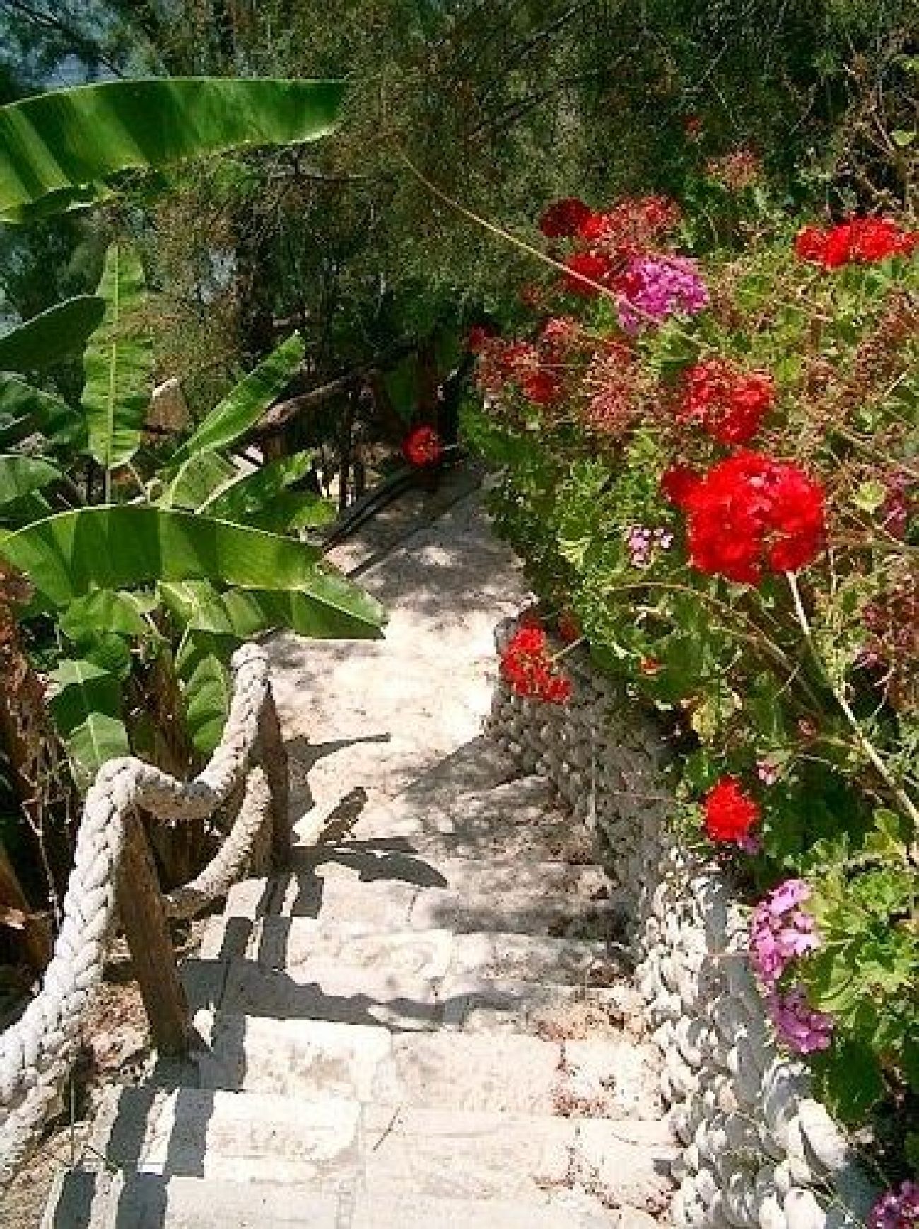 Gloria Maris Hotel Zakynthos 4*