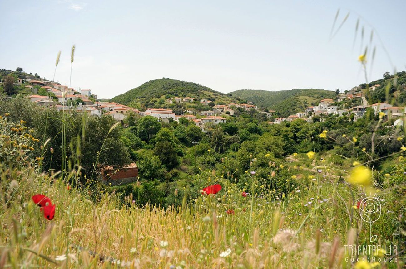 Triantafilia Guesthouse