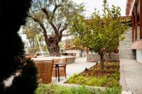 Ayia Marina Suites 3*