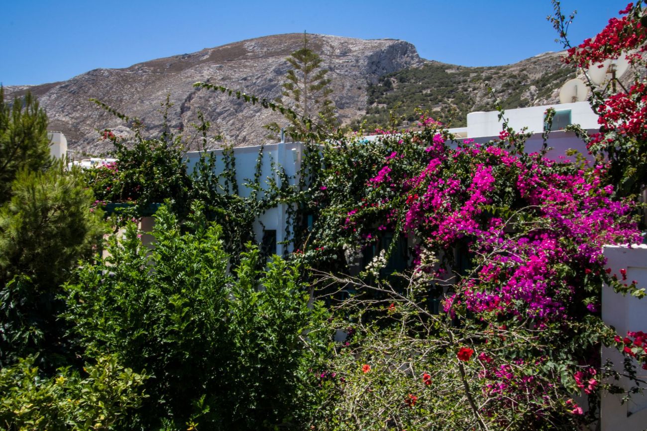 Andreas Hotel Santorini 3*