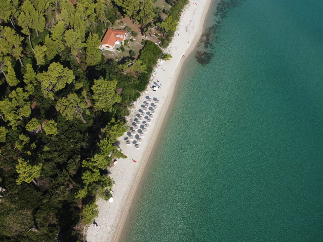 Greek Pride Aithrion Hotel 4*