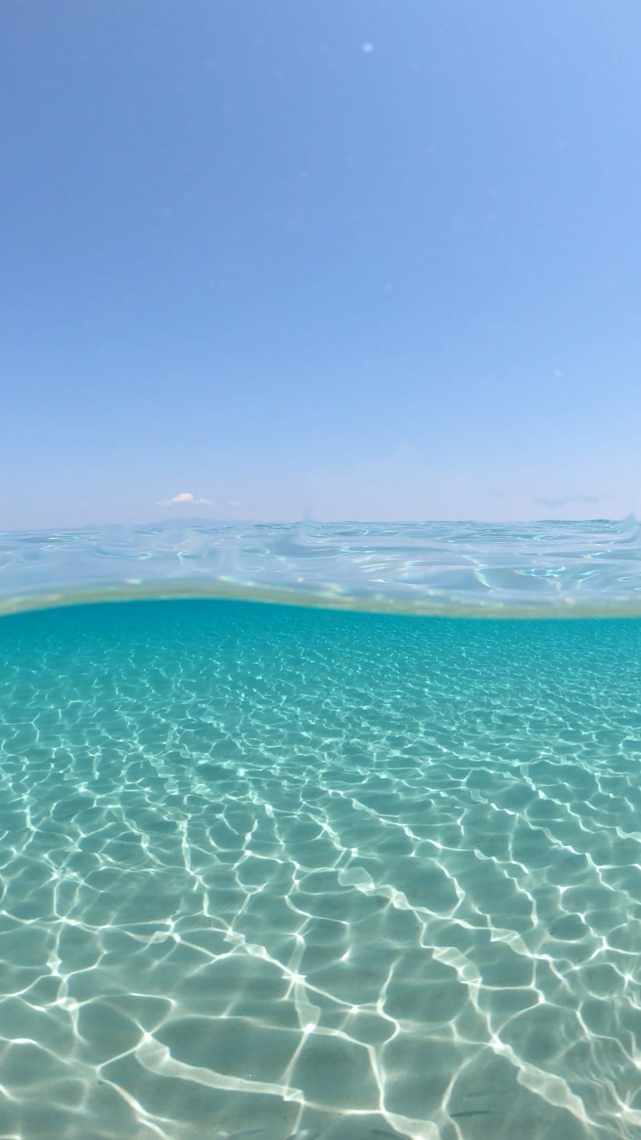 Alexander the Great Beach Hotel 4*