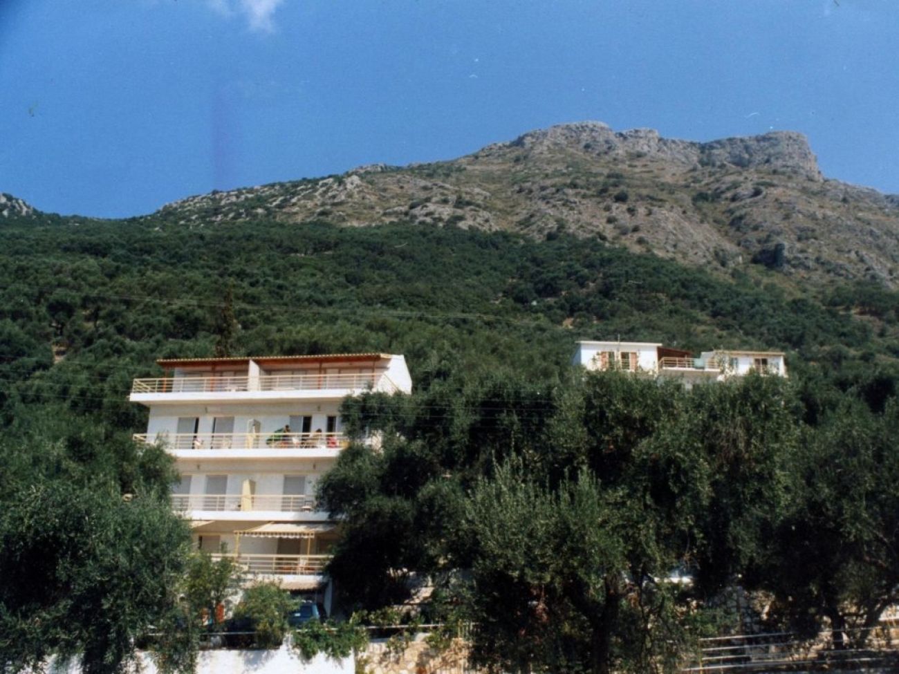 Paradise Apartments