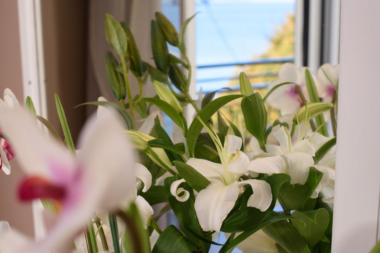 Ipsos di Mare Hotel (Adults only) 3*