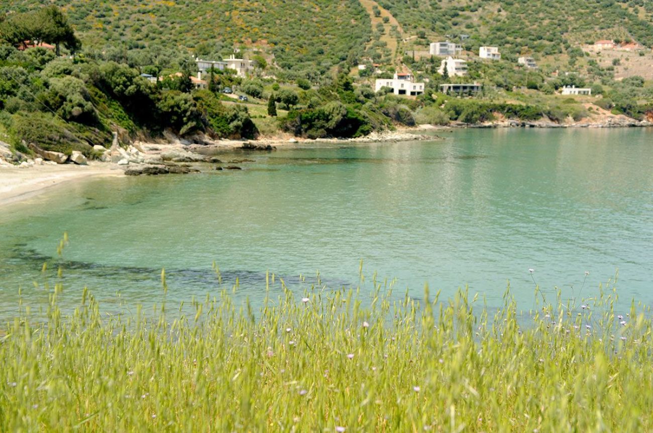 Triantafilia Guesthouse