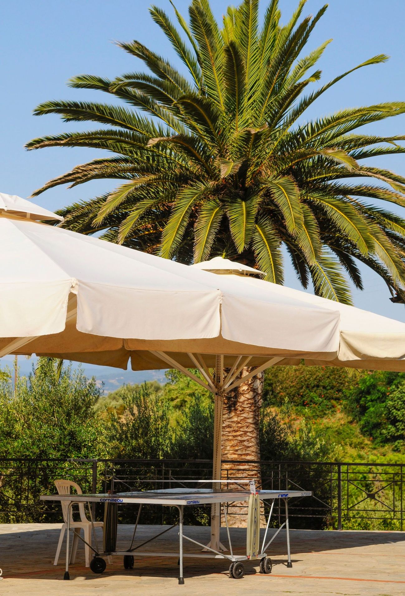 Aristoteles Holiday Resort & SPA 4*