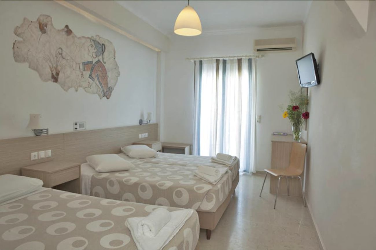 Hippocampus 3*