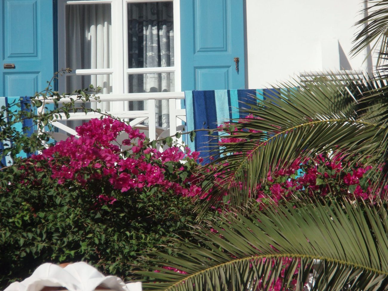 Hotel Matina 3*