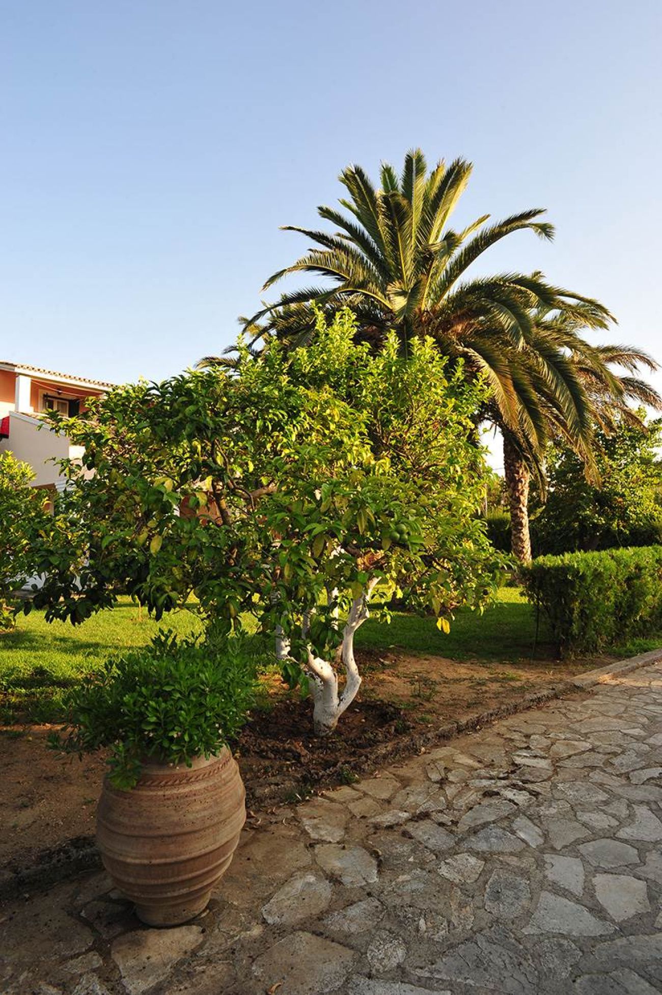 Ionian Princess 4*
