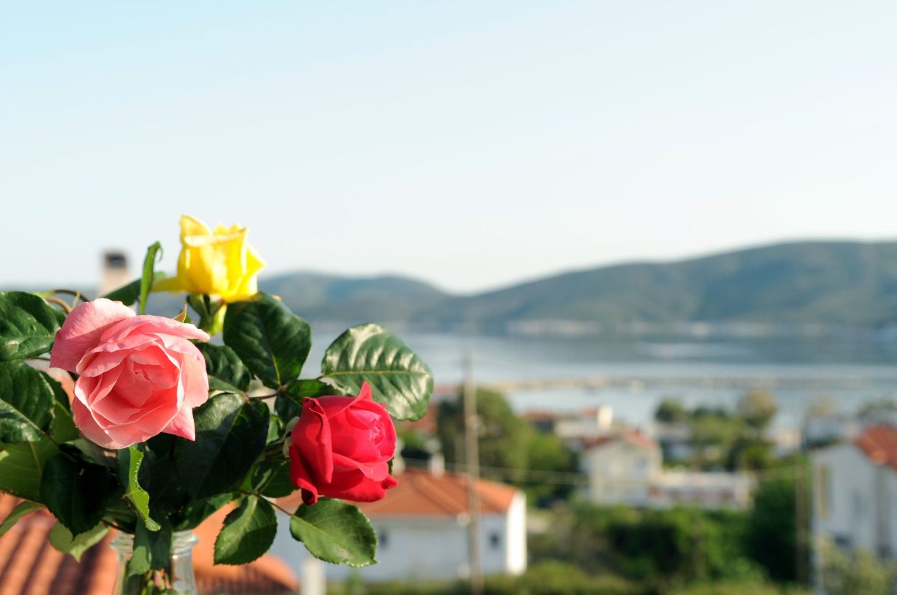 Triantafilia Guesthouse