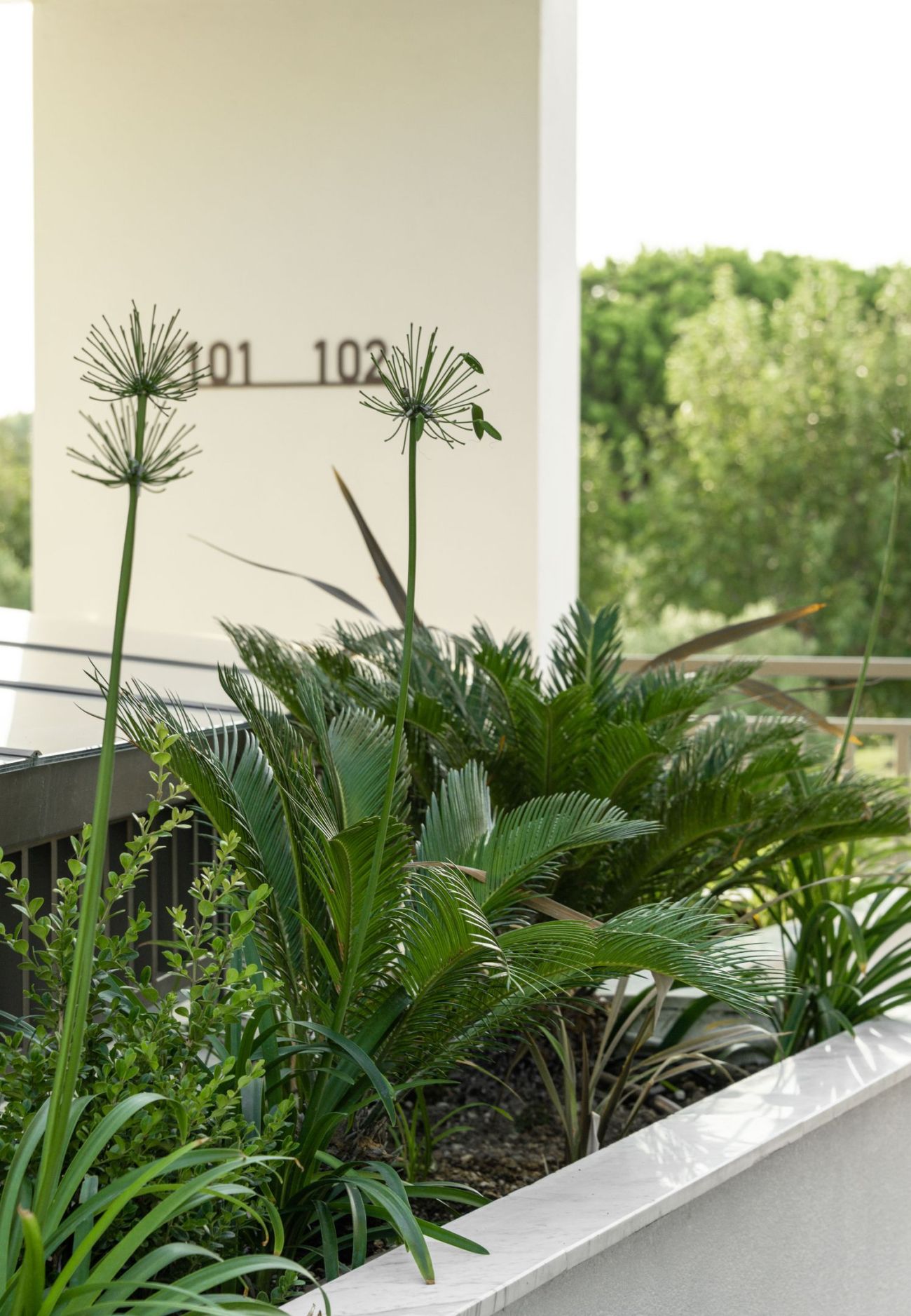 Eco Green Residences & Suites Halkidiki 4*